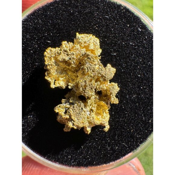 California Native Gold Crystal -  1.1 grams - Picture 6 of 6